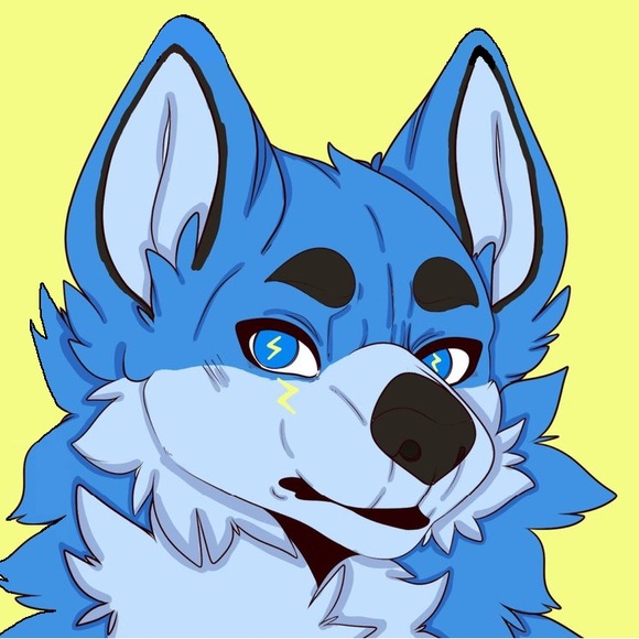 Meet your Posher, Reecom recon eas - Picture 1 of 1